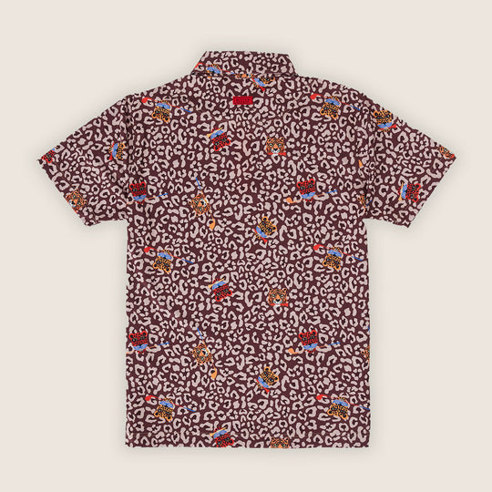 Course Cat Beige