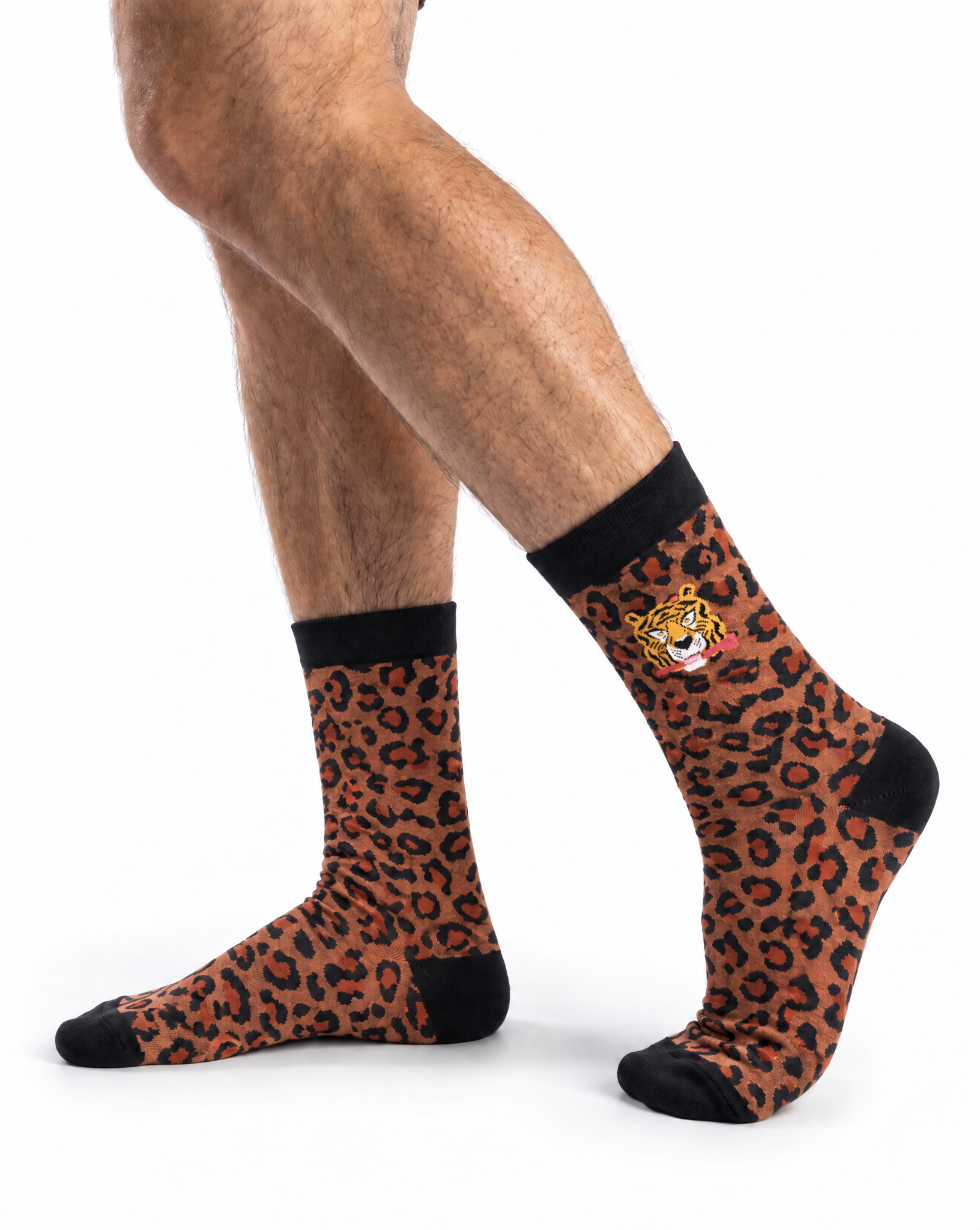 Socks Bite - Second